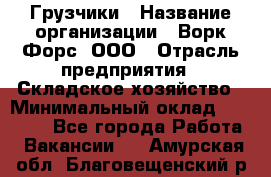 Грузчики › Название организации ­ Ворк Форс, ООО › Отрасль предприятия ­ Складское хозяйство › Минимальный оклад ­ 28 600 - Все города Работа » Вакансии   . Амурская обл.,Благовещенский р-н